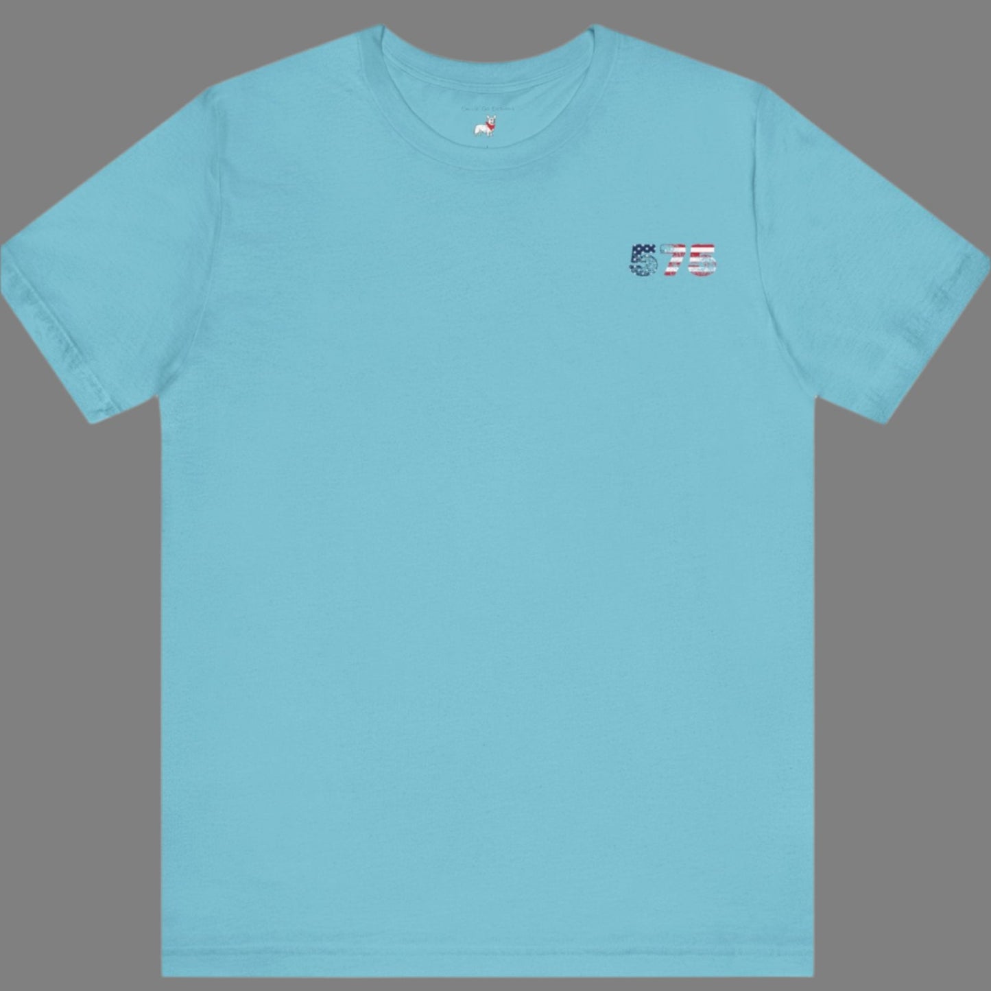 New Mexico 575 Patriotic Tee